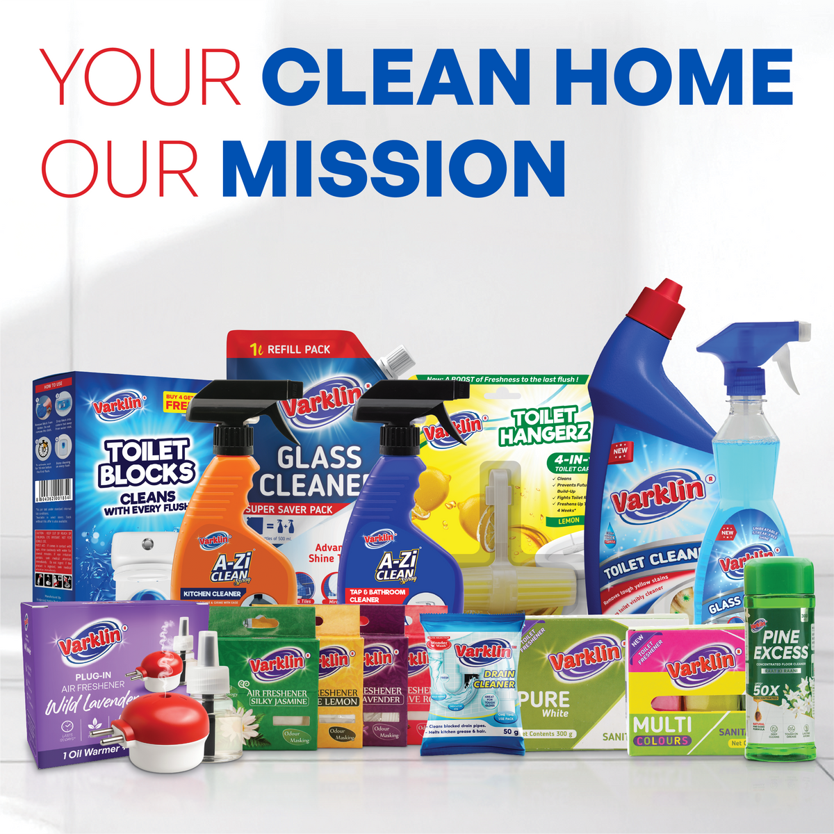 Bathroom Air Freshener Blocks